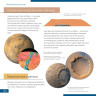 Телескоп LEVENHUK DISCOVERY SPARK 767 AZ с книгой 78735